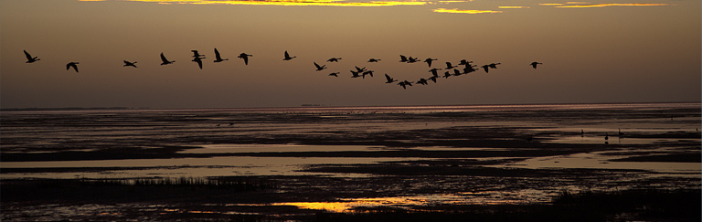 Farewell Spit Sunrise